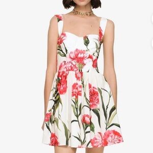 Dolce & Gabana Carnation Floral Mini Dress